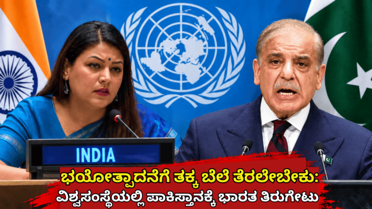 ವಿಶ್ವಸಂಸ್ಥೆಯಲ್ಲಿ ಪಾಕಿಸ್ತಾನಕ್ಕೆ ಭಾರತ ತಿರುಗೇಟು