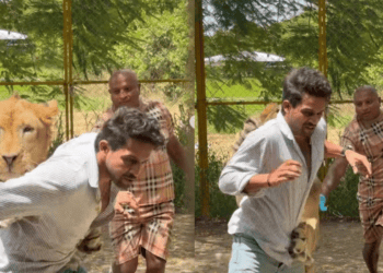 ವ್ಯರ್ಥವಾಗಬಹುದು, (15)