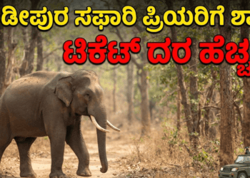 ಸಪ್ತ ಹಾಡುಗಳ ಜೊತೆ ‘ಬೃಂದಾವಿಹಾರಿ’ಯ ದಸರಾ ಧಮಾಕ (4)