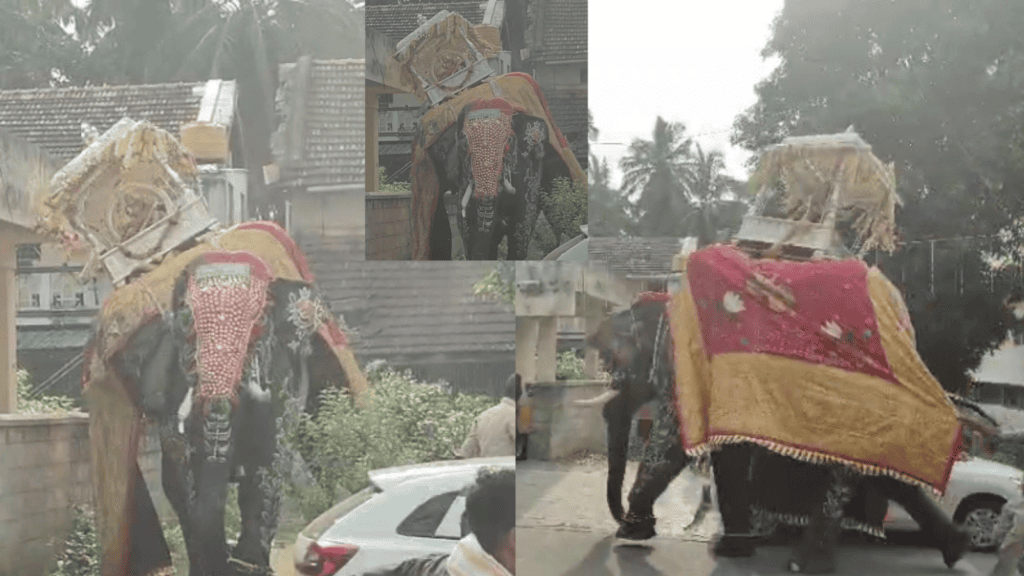 ಕಂದಕಕ್ಕೆ (2)