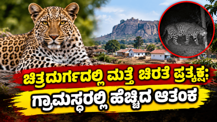 ಆತ್ಮಹತ್ಯೆ! (4)