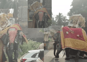ಕಂದಕಕ್ಕೆ (2)