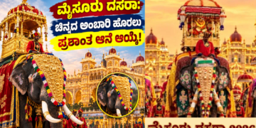 ಮುನ್ಸೂಚನೆ (18)